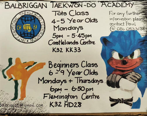 Balbriggan Taekwondo Academy